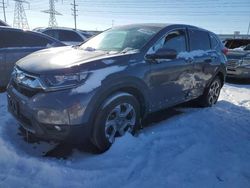 Salvage cars for sale at Elgin, IL auction: 2019 Honda CR-V EX