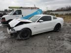 2014 Ford Mustang GT