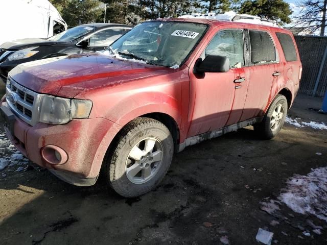 2009 Ford Escape XLT