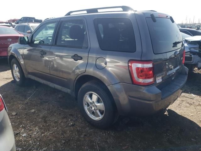 2011 Ford Escape XLT