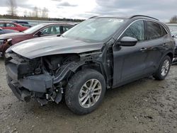 Salvage cars for sale at Arlington, WA auction: 2020 Ford Escape SE