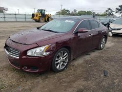 Nissan Maxima S salvage cars for sale: 2011 Nissan Maxima S