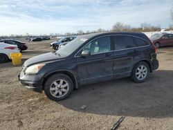 Honda Vehiculos salvage en venta: 2010 Honda CR-V EXL