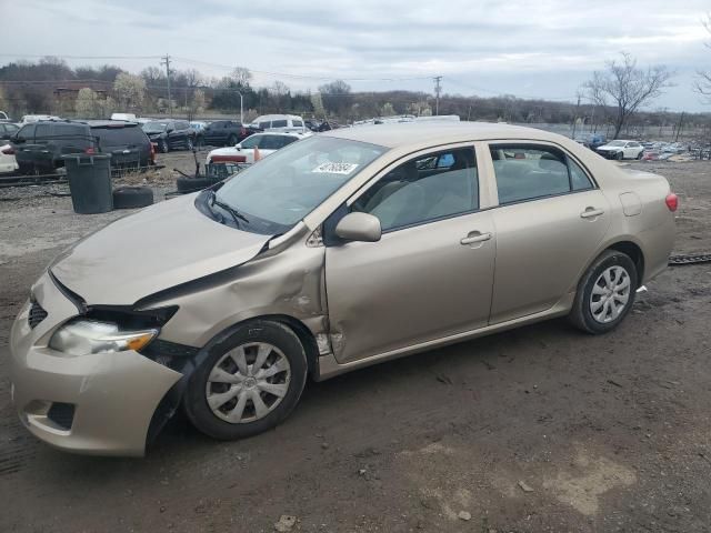 2009 Toyota Corolla Base