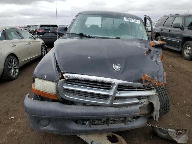 2004 Dodge Dakota SXT