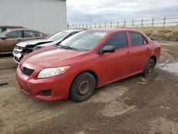 Salvage cars for sale from Copart Portland, MI: 2010 Toyota Corolla Base