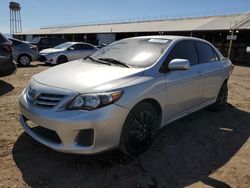 Salvage cars for sale at Phoenix, AZ auction: 2013 Toyota Corolla Base