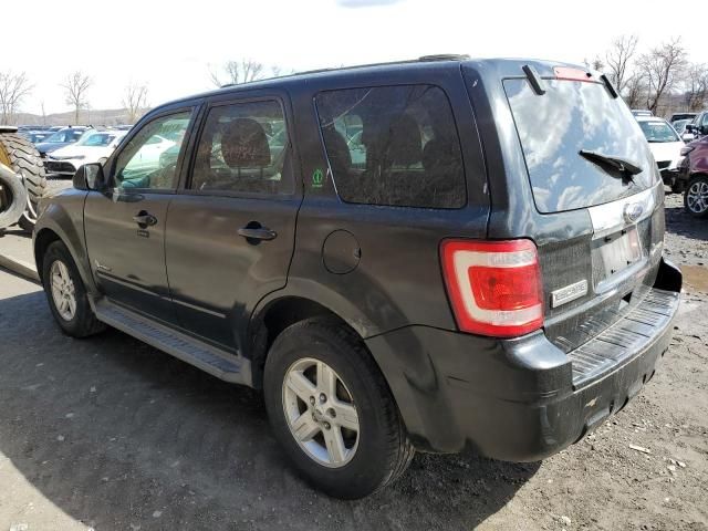 2011 Ford Escape Hybrid