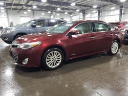 Salvage cars for sale at Ham Lake, MN auction: 2014 Toyota Avalon Hybrid