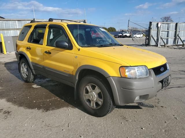 2001 Ford Escape XLT