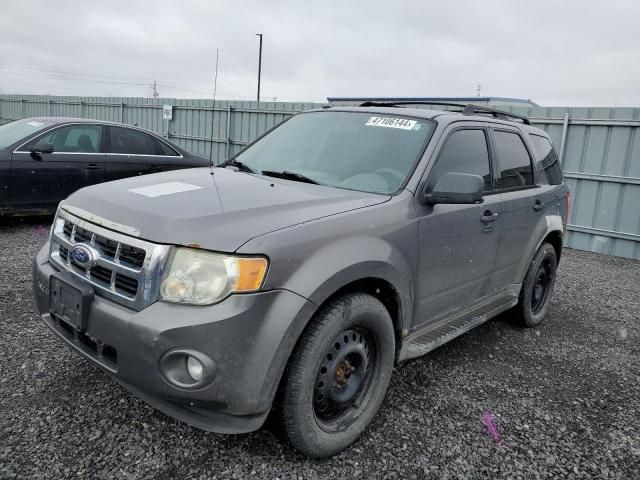 2010 Ford Escape XLT AWD