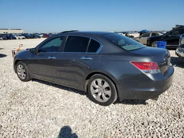 2010 Honda Accord EX