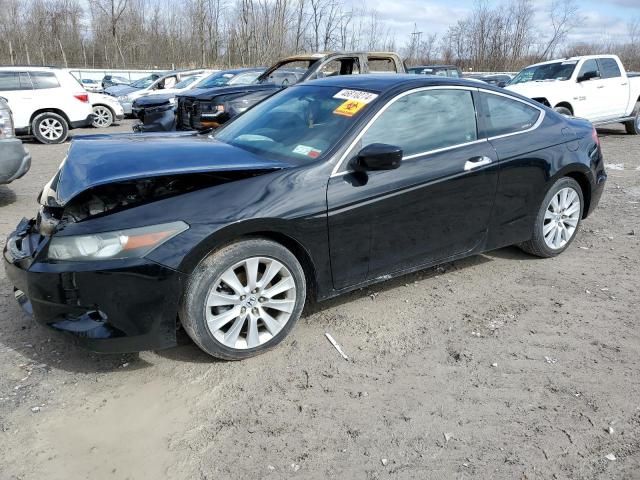 2010 Honda Accord EXL