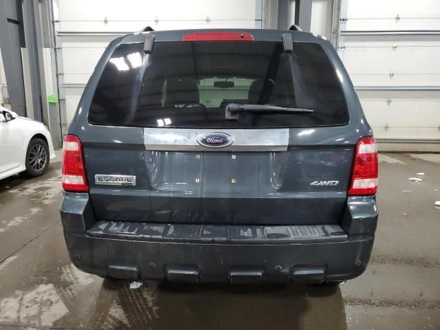 2008 Ford Escape Limited