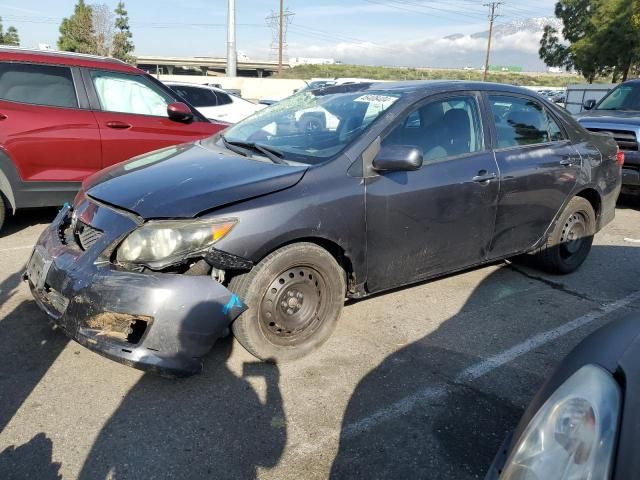 2009 Toyota Corolla Base