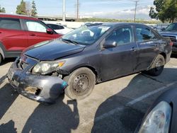 Salvage cars for sale at Rancho Cucamonga, CA auction: 2009 Toyota Corolla Base