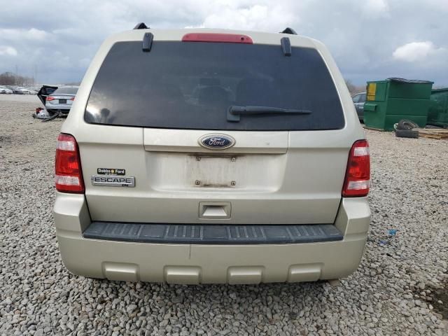 2010 Ford Escape XLT