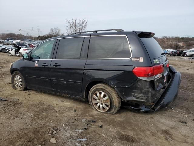 2008 Honda Odyssey EXL