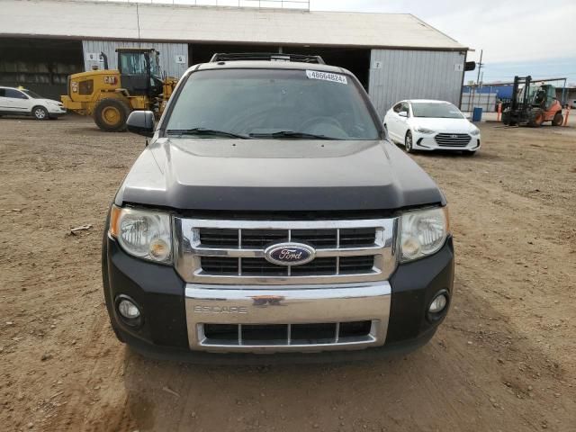 2010 Ford Escape Limited