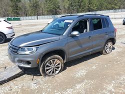 Volkswagen Tiguan s salvage cars for sale: 2015 Volkswagen Tiguan S