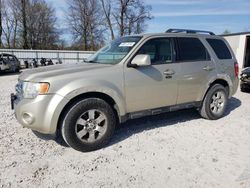Salvage cars for sale at Rogersville, MO auction: 2011 Ford Escape Limited