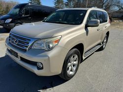 Lexus GX salvage cars for sale: 2010 Lexus GX 460