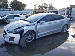 Ford Fusion SEL salvage cars for sale: 2019 Ford Fusion SEL