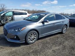 Hyundai salvage cars for sale: 2019 Hyundai Sonata SE