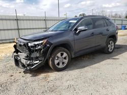 Salvage cars for sale at Lumberton, NC auction: 2023 Toyota Rav4 XLE