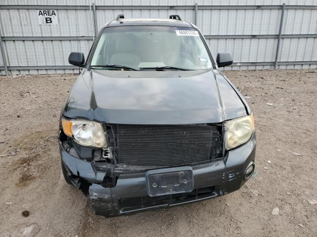 2008 Ford Escape XLT