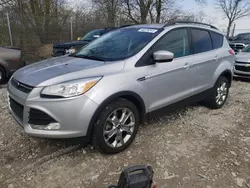 Salvage cars for sale at Cicero, IN auction: 2014 Ford Escape SE