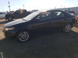 KIA Forte EX salvage cars for sale: 2012 KIA Forte EX