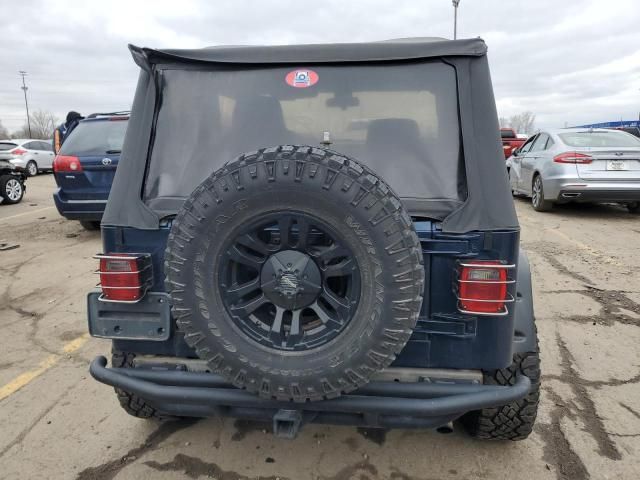 2003 Jeep Wrangler / TJ SE