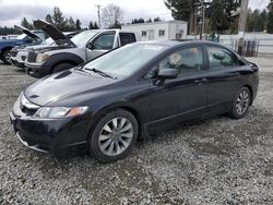 Honda Civic exl salvage cars for sale: 2009 Honda Civic EXL