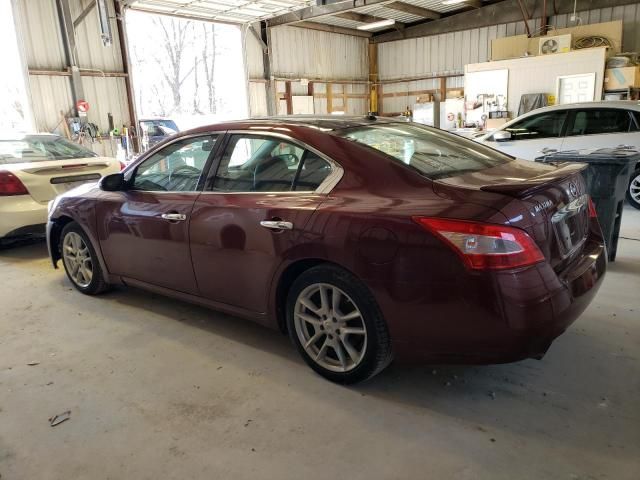 2010 Nissan Maxima S