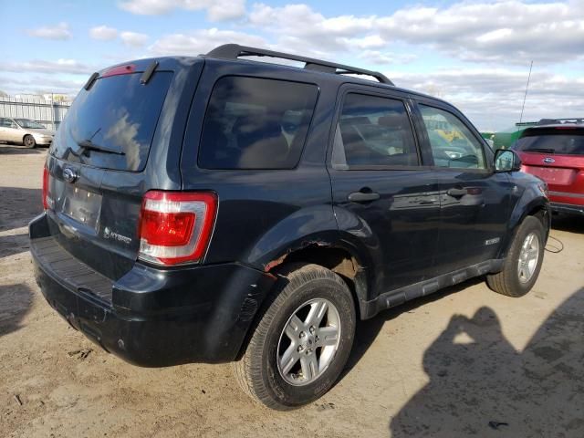 2008 Ford Escape HEV