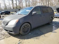 Salvage cars for sale at Waldorf, MD auction: 2010 Honda Odyssey EX