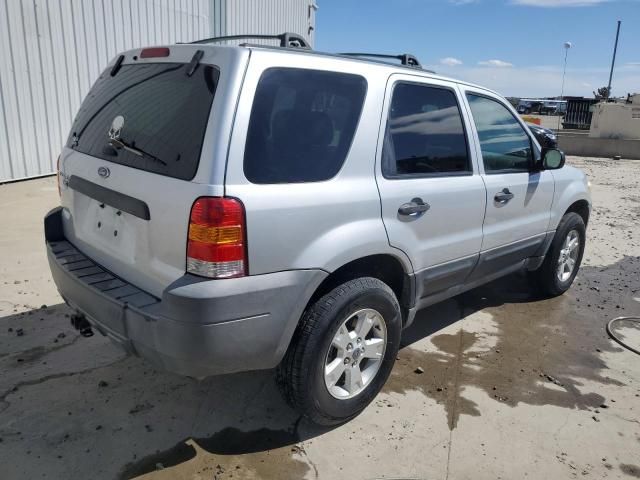 2005 Ford Escape XLT