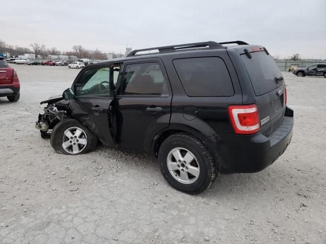 2009 Ford Escape XLT