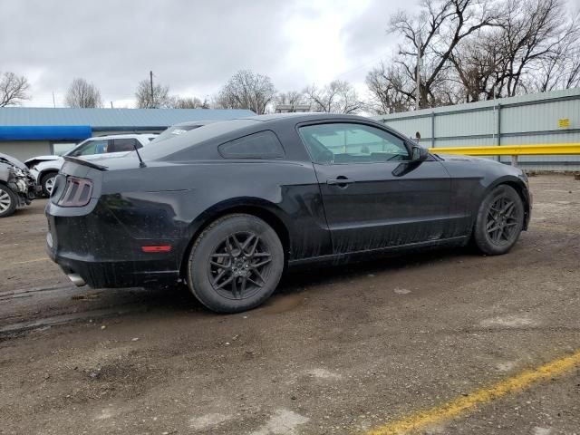 2013 Ford Mustang