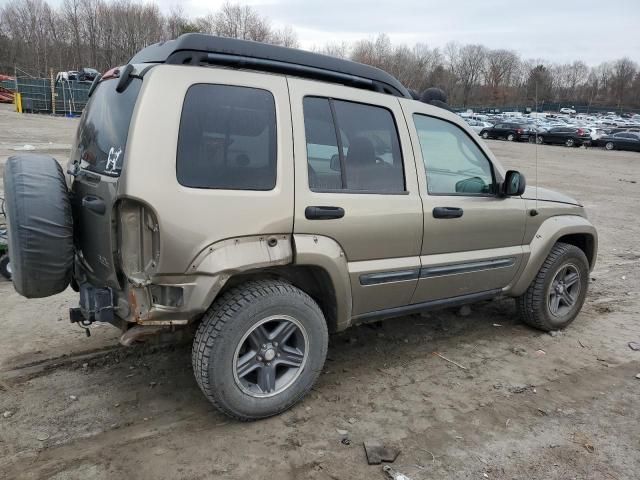 2004 Jeep Liberty Renegade