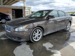 Salvage cars for sale at West Palm Beach, FL auction: 2012 Nissan Maxima S