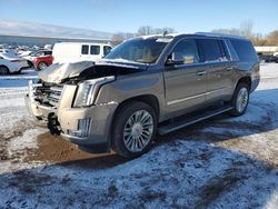 Salvage cars for sale at Davison, MI auction: 2017 Cadillac Escalade ESV Platinum