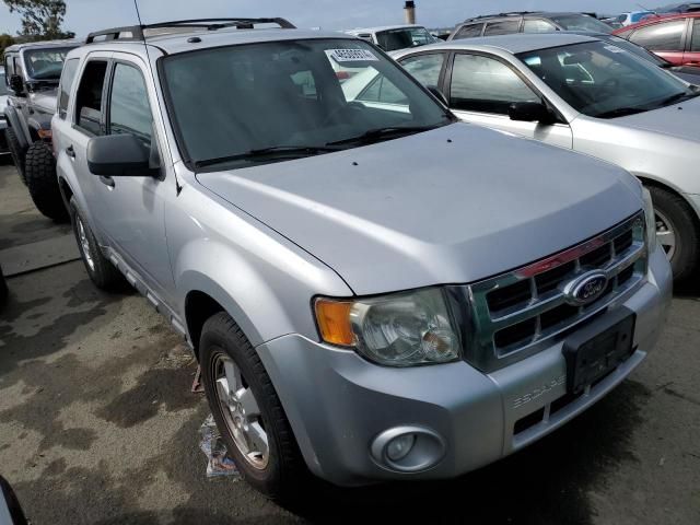 2011 Ford Escape XLT