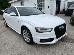 Salvage cars for sale from Copart Opa Locka, FL: 2015 Audi A4 Premium