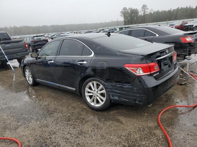 2010 Lexus ES 350