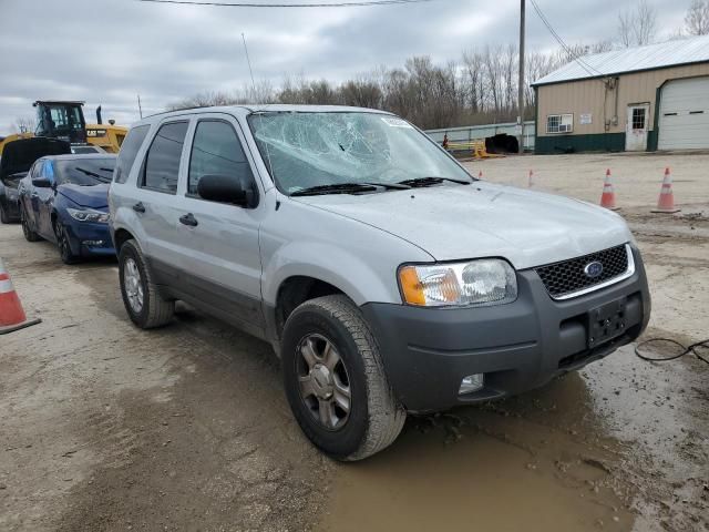 2004 Ford Escape XLT