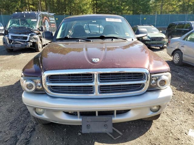 2004 Dodge Dakota SLT