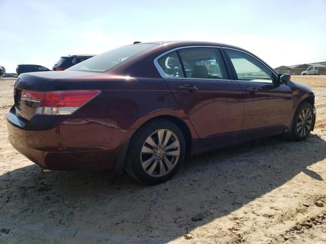 2011 Honda Accord EXL