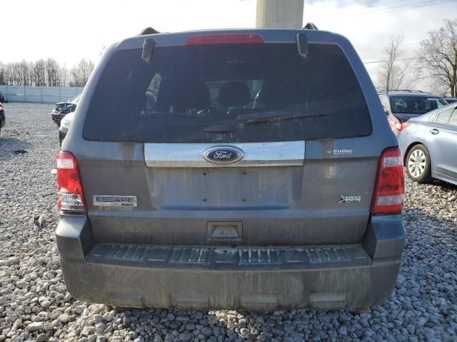 2011 Ford Escape Limited